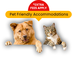 pet friendly accomodations